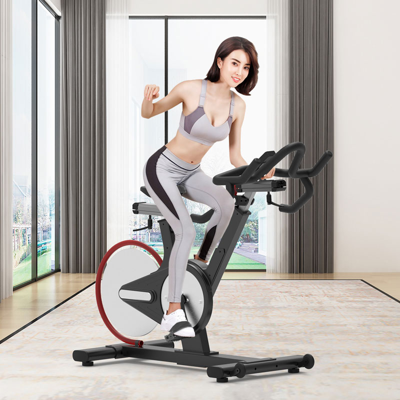 BSE-106專業健身房動感單車大圖展示1