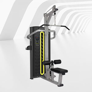 BFT-A14高拉/平拉雙用訓(xùn)練器