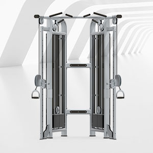 BFT-3025C小飛鳥(niǎo)訓(xùn)練器小飛鳥(niǎo)健身器材廠家